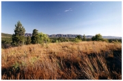 03 - The Flinders Ranges (11)